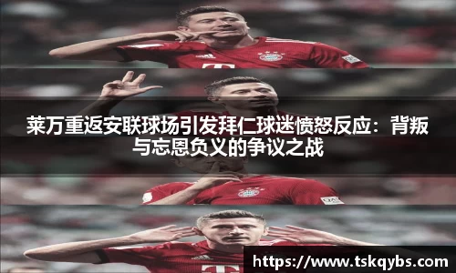 芒果体育官网入口