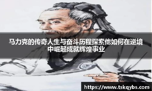 芒果体育官网入口