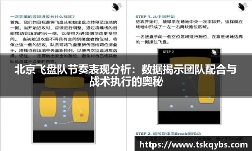 北京飞盘队节奏表现分析：数据揭示团队配合与战术执行的奥秘